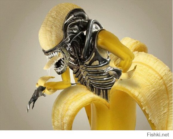 Вы всё еще любите бананы?