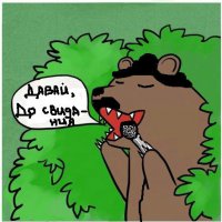 10 фактов, которые вам нужно знать о медведях