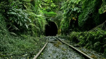 Старые тоннели железной дороги Хельнсбурга, Новый Южный Уэльс, Австралия.

Старая железнодорожная станция Хельнсбурга и старые железнодорожные тоннели расположены не слишком далеко от современной железнодорожной станции.
– Открыты 3-го октября 1888 и закрыты 30-го мая 1915 года.