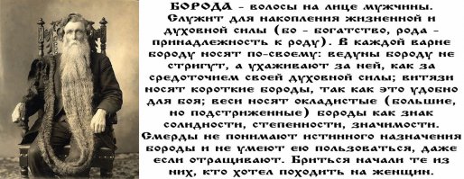 Борода - Богатство Рода

Раньше на Руси, как и на других землях, наши Предки всегда носили Бороду. И только с приходом «духовного затмения» во время Ночи Сварога сохранение волос и бороды в первозданном природном виде паразиты преподнесли нам как признак отсталости и небрежности.

Почему? Потому что у паразитов борода просто не растёт.

Борода – Богатство Рода. То есть борода на лице каждого мужчины – это Богатство его собственного Рода, аккумулятор Жизненной Силы её обладателя.

Повреждение бороды мужчины или насильственное отрезание её в древние времена считалось тягчайшим преступлением против его Древнего Рода и оскорблением Небесных Богов, покровительствующих этому Роду. Оскорбление Небесных Богов не прощалось никому, из-за этого в прошлом произошло немало войн, а подпалённая борода посла в старое время считалось объявлением начала войны.

Зрелых безбородых мужчин издревле называли женоликими. С ними старались не заключать военных и иных договоров, ибо считалось, что женоликие мужчины ведут женский образ жизни (говоря современным языком – являются людьми противоположной половой ориентации).

Волосы испокон веков сравнивают с засеянным полем пшеницы: как колосья пшеницы впитывают в себя все соки и живительную силу Матери Сырой Земли, а также, чистый свет Ярилы-Солнца и хранят их, так и волосы человека получают и сохраняют живительную силу от Небесных Богов, от Земных Родителей и Предков Рода, от Матери-Природы, от космических лучей Ярилы-Солнца и Небесных Звёзд. Недаром же волосы издревле называют космами, т.е. антеннами, связанными с космосом, который напитывает человека Жизненной Силой Звёзд.

Волосы обеспечивают приток множества светлых Божественных и Природных Сил в сознание человека, помогают лучше ориентироваться в жизни, а также, означают достаток в его Древнем Роду, изобилие и счастье в семье.

Мужчины – приверженцы Родобожия, зная об истинном значении бороды, не ходят «женоликими», а своим девицам с малолетства заплетают волосы в одну трехлучевую косу, ибо это обеспечивает приток в их сознание Жизненных Сил Миров Яви, Нави и Прави. Коса располагается вдоль позвоночника. Все светлые Bceленские Силы через волосы переходят в позвоночник и наполняют тело, Душу и Дух девицы особой Жизненной Силой, подготавливая её к будущей Священной Миссии Материнства – воплощению на Земле Богов и Многомудрых Предков Рода своего мужа. Такая жена является особой ценностью для мужа, ибо она, имея косу, обеспечивает здоровое зачатие, вынашивание, рождение и вскармливание его Родичей. Кроме того, космы-антенны усиливают не только её связь с Богами, но и обостряют её со-весть и интуицию, которые помогают жене знать наперёд надобности мужа и детей.

Когда такая девица выходит замуж, её девичью косу расплетают и взамен ей заплетают две косы, ибо с этого времени она получает через волосы жизненные Bceлeнcкиe силы не только для себя, но и для будущего peбёнкa.

Мужчины также бережно относятся к своим космам. Борода является символом зрелости, мужественности и самостоятельности.

Исследования Пентагона показывают - наличие бороды имеет прямое отношение к боевой эффективности.

В опубликованном докладе исследовательской группы Xegis Solutions говорится, что бороды имеют прямое отношение к боевой эффективности:

«Мы взяли 100 человек, 25 человек из спецназа у которых были бороды и 25 спецназовцев у которых бород не было, 25 из регулярной армии, которым было разрешено отращивать бороды для исследований и последние 25 были из регулярной армии без бород. Все 100 участвовали в боевых столкновениях в Афганистане.

Результаты исследований были потрясающими, из 50 солдат с бородами никто не был ранен или убит, точность стрельбы у них была значительно выше, чем у солдат без бород. У солдат без бород был высокий уровень неисправности личного оружия и с ними всё время происходило какие-то происшествия».
Борода в Армии

Эти исследования также показывают, что систематическое отращивание бороды приводит к повышению уровня тестостерона (мужского гормона) у носителя бороды, что стимулирует эндокринную систему, приводя к тому, что такие мужчины физически более сильные, они принимают более точные и взвешенные решения, имеют более трезвые суждения в стрессовой или ограниченной во времени ситуации. Однозначно установлено, что тестостерон положительно влияет не только на психические, физические, но и на умственные параметры. В частности, отращивание бороды оказывает положительное воздействие при симптомах СХУ (синдроме хронической усталости).

По результатам названных исследований Командующий генерал Джеймс Е. Маттис выступил с заявлением ко всем войскам в зонах боевых действий: «Настало время для Вооруженных Сил принять факты, а факты таковы, что бороды спасают солдатам жизнь».

Вот ещё дополнительные сведения, собранные в интернете:

Информация о природных свойствах волос была скрыта со времен Вьетнамской войны. Массовая «культура» говорит людям о том, что стиль причёски – это личные предпочтения, что стиль прически – это мода и/или удобство, и то, как люди носят волосы – это просто косметический вопрос.

Возвращаясь к периоду Вьетнамской войны, можно обнаружить иную картину, скрытую от большинства людей. В начале 90-х годов Санти (имя изменено для сохранения конфиденциальности) вышла замуж за психолога, который работал в медицинском госпитале министерства по делам ветеранов. Он работал с боевыми ветеранами, имевшими посттравматические стрессовые расстройства психики. Большинство из них служило во Вьетнаме.

Санти рассказывает: «Я ясно помню тот вечер, когда муж пришёл домой, держа в руках официального вида толстенную папку. Внутри были сотни страниц правительственных исследований.

Муж был шокирован содержанием. То, что он прочёл в этих документах, полностью изменило его жизнь. С этого момента мой консервативный, придерживающийся срединных взглядов муж начал отращивать волосы и бороду и больше уже никогда не стригся. Более того, медицинский центр министерства по делам ветеранов позволил ему это, и ещё несколько других консервативных мужчин-сотрудников последовали его примеру.

Когда я прочитала документ, то поняла почему. Оказалось, что во время Вьетнамской войны специальные войска военного департамента посылали секретных агентов в резервации американских индейцев для поиска талантливых скаутов, крепких молодых людей с навыками бесшумного передвижения по пересеченной местности. Они специально искали мужчин с выдающимися, почти сверхъестественными, способностями к слежению.

Отмечалось, что эти тщательно отобранные люди были настоящими экспертами в области слежения и выживания.

Для вербовки новых рекрутов использовалось обычное заманивание и хорошо испытанные вкрадчивые фразы. Таким образом, некоторые индейские охотники попали на срочную службу. Однако после того, как они были завербованы, произошло нечто удивительное. Те таланты и способности, которыми они обладали в резервации, таинственным образом исчезали, и новобранец за новобранцем терпели полный провал, ведя себя на боевом задании совсем не так, как от них ожидалось.

Поиск причины неудач привел правительство к проведению дорогостоящего тестирования этих рекрутов, и вот что было обнаружено.

На вопрос о провале старшие рекруты все, как один, отвечали, что когда их коротко подстригли по-военному, они не могли больше «чувствовать» врага, не могли больше получать доступ к «шестому чувству». Они не могли больше положиться на свою интуицию, не могли «читать» тайные знаки также хорошо, как раньше, и не могли получить доступ к тонкой экстрасенсорной информации.

Итак, исследовательский институт завербовал ещё индейских охотников, разрешил оставить им длинные волосы и провёл тесты в различных сферах. Затем они объединили мужчин, которые показали одинаковые результаты во всех тестах, в пары. У одного из мужчин в паре они оставили длинные волосы, а другому сделали короткую военную стрижку. Затем эти двое вновь прошли испытания. Раз за разом мужчины с длинными волосами показывали высокие результаты. Раз за разом мужчины с короткими волосами не выдерживали проверок, в которых раньше показывали высокие результаты.

Вот примеры типовых тестов:

Рекрут спит в лесу. Вооруженный «враг» приближается к спящему. Мужчины с длинными волосами просыпались от чувства сильной опасности и уходили задолго до появления врага, задолго до того, как слышались какие-либо звуки, свидетельствующие о приближении неприятеля.

По другой версии этого теста длинноволосые мужчины чувствовали приближение и интуитивно ощущали, что враг предпримет атаку. Они доверяли «шестому чувству» и оставались неподвижными, притворяясь, что спят, чтобы подпустить «врага» поближе. Затем, мгновенно хватали атакующего и «убивали» его, как только «враг» приближался достаточно близко.

Этого же рекрута, после прохождения этого и других тестов, коротко по-военному стригли, и он последовательно проваливал множество тестов, которые до этого успешно проходил.

Итак, документ предписывал, чтобы все индейские охотники были освобождены от необходимости коротко стричься. Фактически требовалось, чтобы охотники «оставались с длинными волосами».

И в завершении – летописная справка. Однажды Гая Юлия Цезаря спросили: «Зачем вы распорядились об остригании солдат всех иностранных легионов налысо»? Цезарь ответил: «Мне не нужно самостоятельное мышление иностранцев! Мне нужно, чтобы они исполняли МОИ приказы»!