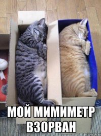 А потом он вырастет и сожрет всех :)