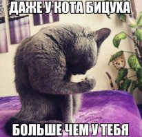 15 доказательств, что ваш кот является агентом ГРУ