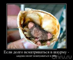 Красивые парни и шаурма