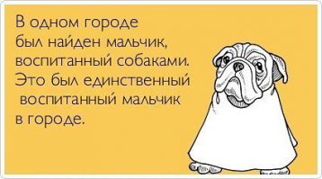 От чистого сердца: искренние и смелые детские объяснительные