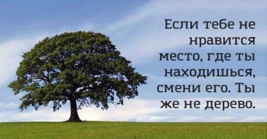 Тут должна быть шутка про бывшую.