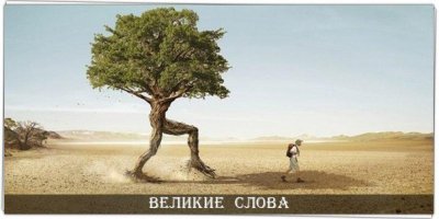 16 веселых открыток, которые помогут с юмором взглянуть на обыденные вещи