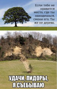 16 веселых открыток, которые помогут с юмором взглянуть на обыденные вещи