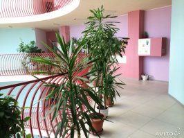 Вы меня конечно извините, немного не в тему, но всё же...
навеяло))))

Купил квартиру в Атриуме 
Ожидание .... реальность 
(для справки, кому интересно, дом  г.Ивантеевка ул.Новая слобода 1, не реклама!!!)