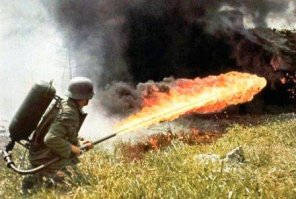 10 самых жутких жуков планеты