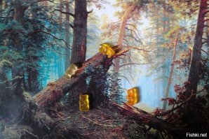 10 фактов, которые вам нужно знать о медведях