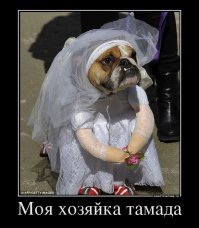 Русские свадьбы - бессмысленные и беспощадные