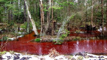 Похоже случай не единичный, например в нацпарке под Калининградом текут «багровые реки»