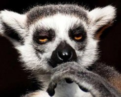 Узбагаивает?