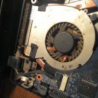 Шутите, а люди работают(( Ноутбук греется, тараканы сдохли!!! Колесо крутить больше некому. Надо менять животныхптичку жалко...