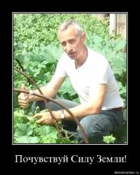 Че тут думать?