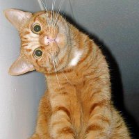 Ехали бы спокойно на Камазе