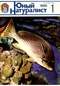 12 журналов из нашего детства