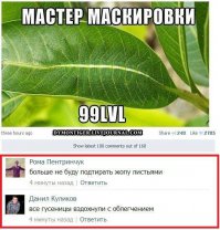 Страшно становится, не тогда, когда видишь паука. Страшно становится, когда он пропадает из виду!