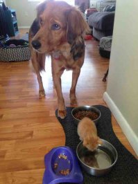 Дискриминация о которой все умалчивают