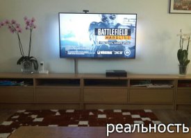 Наши летние ожидания и реальность
