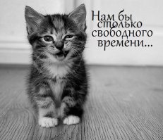 Хирургические манипуляции с сухой листвой