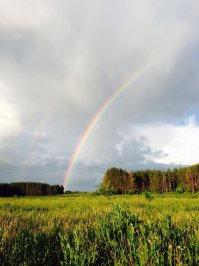 Казань. После грозы.