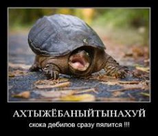 Фотоподборка за 17.06.2015