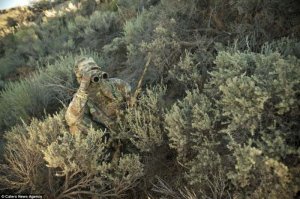 Самый хищный хищник