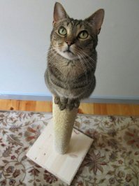 Метко сказано