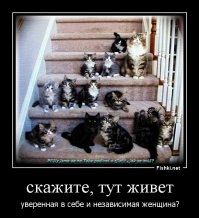 Сканирование кошки — вот то, ради чего действительно стоит жить