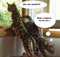 Ехали бы спокойно на Камазе