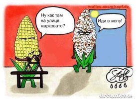Рецепт приготовления кукурузы