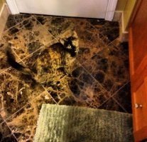 Гении камуфляжа в дикой природе