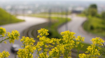 Нижний Новгород