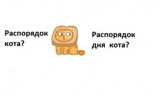 Распорядок кота