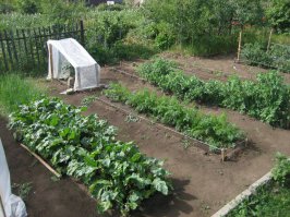 А у меня на даче всего дохрена. До Антарктиды - 13200 км.