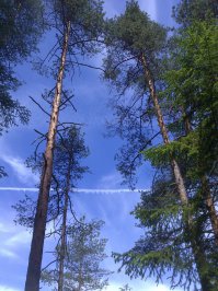 Летнее настроение! 