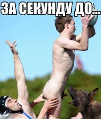 14 фото самых разных вещей и продуктов в момент падения