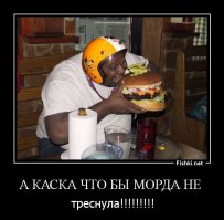 А вот её сын!