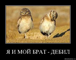 Ну что тут сказать про собакиных, ладно одна...ну две!!!!