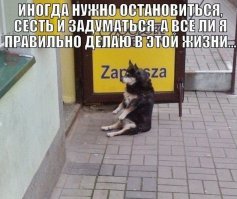 Неплохо было бы нам сделать вывод, что к постам, обещающим снабдить вас эффективными советами бывалых, как выиграть в игре под названием жизнь, следует относиться с большим скепсисом. 
Наверное, вы думаете, что это очень удручающе — понимать, что своим успехом такие люди больше всего обязаны госпоже удаче, но вообще-то это может вас расстроить только в том случае, если вы рассматриваете удачу как некоторый вид магии. Снимите-ка свои очки суеверия и получше присмотритесь вот к чему: свежие психологические исследования показывают, что удача является просто неудачно названным феноменом. Это не сила, не милость богов, не заклинание лесного народца, а вполне измеряемая отдача от совокупности предсказуемых действий. Случайность, шанс и суетливый хаос реальности почти невозможно предсказать или приручить, но удача — это нечто принципиально иное. Если верить психологу Ричарду Вайзману, удача — в том числе и неудача — это нечто, что мы называем результатами осознанного обращения человеческих существ со случайностями, просто некоторые люди ладят с ними лучше, чем другие.