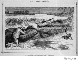 как вам такая охота?