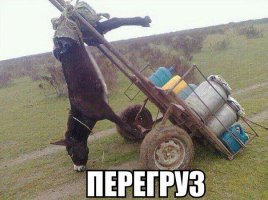 Подборка автоприколов. Часть 232