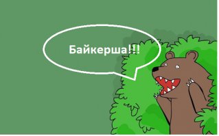 Пьяная девушка на мотоцикле пыталась скрыться от полиции