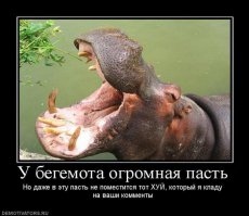 Справедливая цена на автомобили в РФ