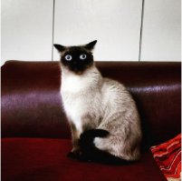 Метко сказано