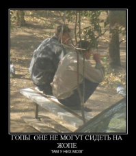 Гопы сидят на жердочки и клюют семки - они или от голубей произошли, или от петухов