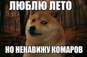 Наши летние ожидания и реальность