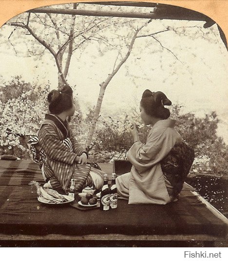 Пиво с рыбкой японцы знали как отдыхать даже в-19 веке