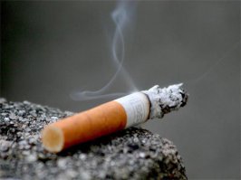 Да уж, знакомая ситуация, постоянно залетают окурки, поэтому когда выходим из квартиры, даже просто в магазин, то всегда закрываем балкон, бороться с такими бессмысленно - это быдло!!!